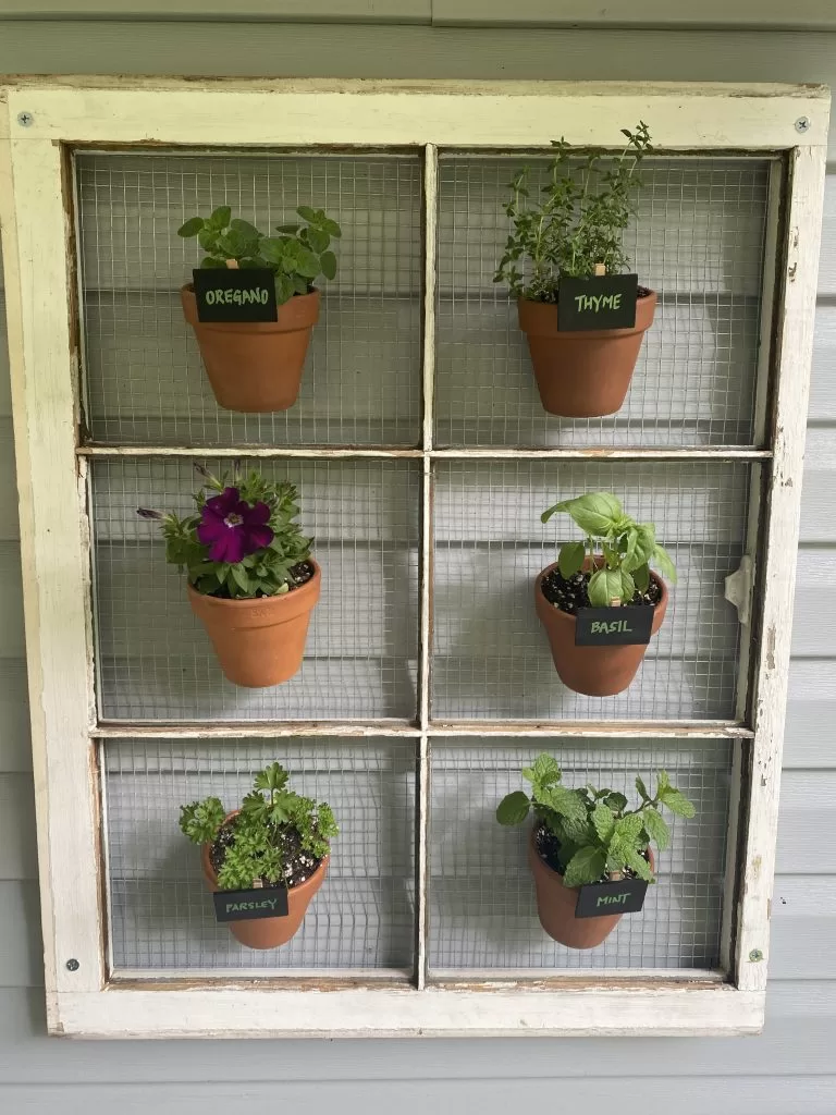 Easy DIY Outdoor Herb Garden